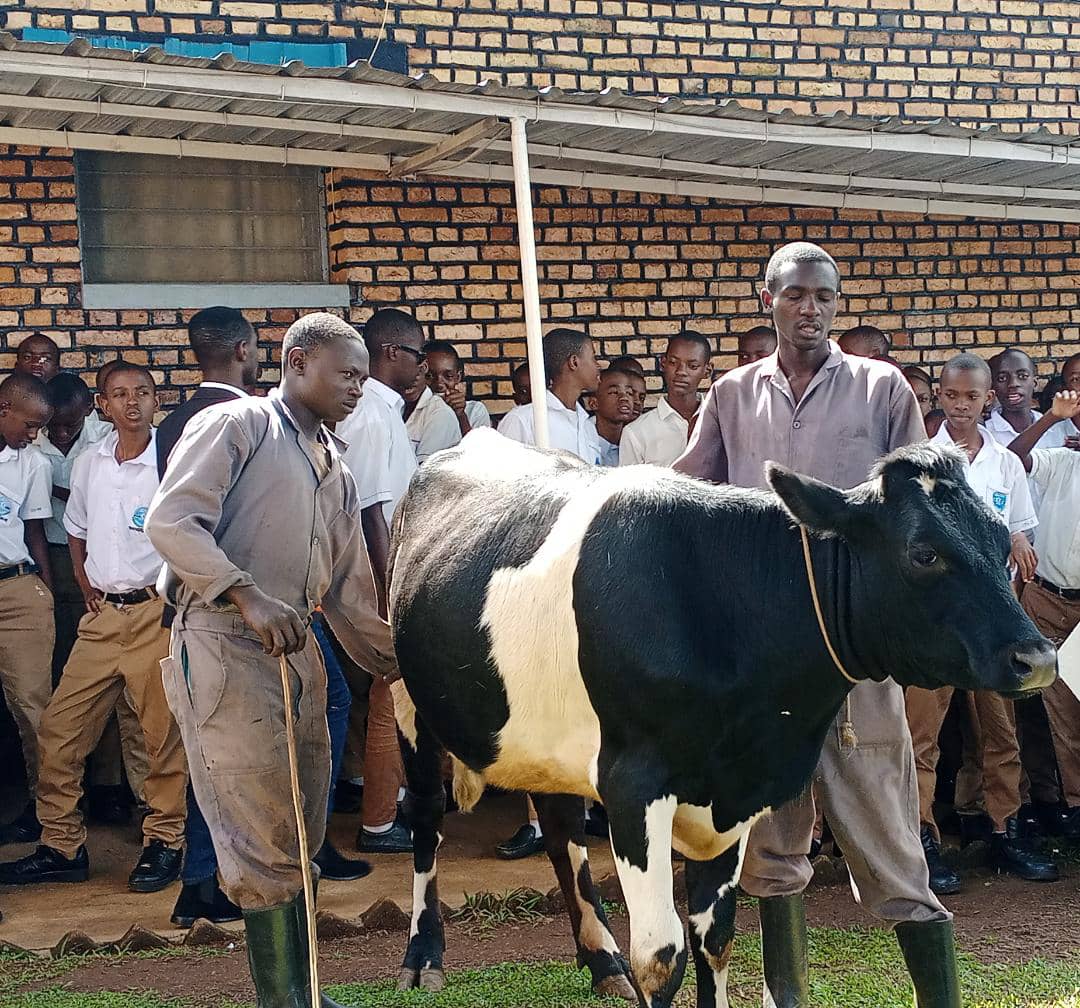 Seminari ya Karubanda yagabiye Myr Filipo Rukamba asaba ko inka yahawe yaguma mu Iseminari ikajya ikamirwa abaseminari